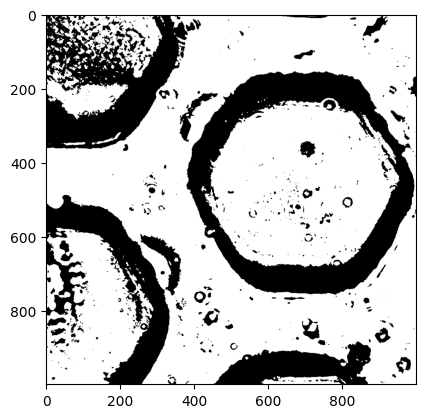 <Figure size 640x480 with 1 Axes>