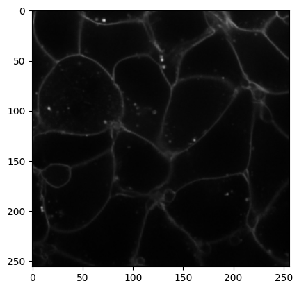 <Figure size 640x480 with 1 Axes>